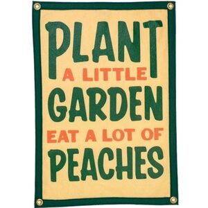 Oxford Pennant John Prine Flag